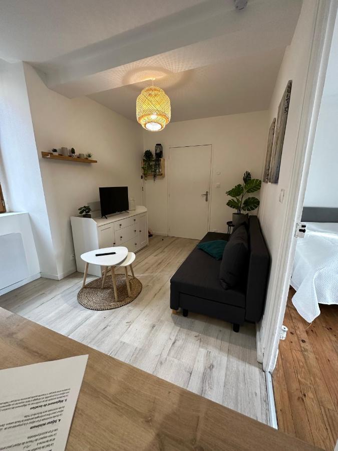 Joli Appartement Proche Centre Ville, Thermes, Aquensis Баньер-де-Бигор Экстерьер фото